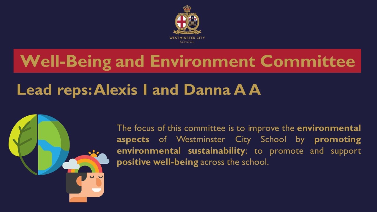 Well Being and Environment Committee