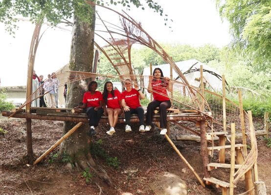 GF Treehouse Westminster 010725