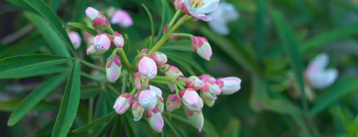 Blog Header Image