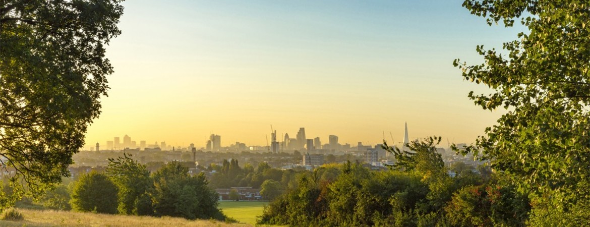 Blog Header Image