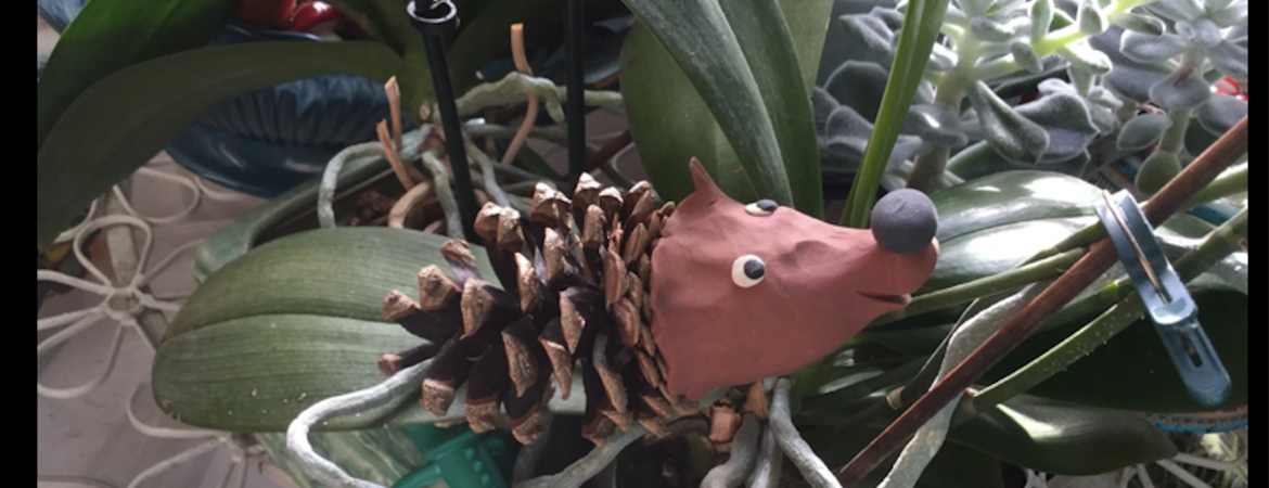 Blog Header Image