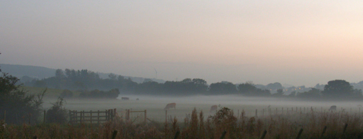 Blog Header Image